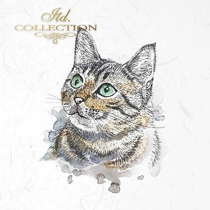 Decoupage Mini Rice Paper Set - Cats and Dogs