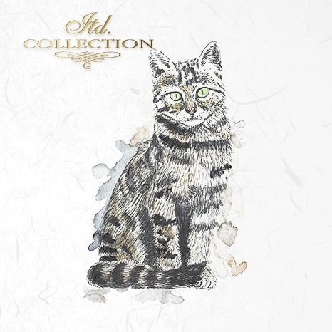 Decoupage Mini Rice Paper Set - Cats and Dogs