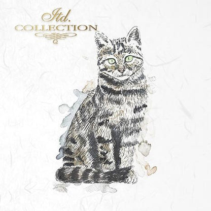 Decoupage Mini Rice Paper Set - Cats and Dogs