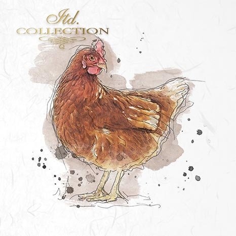 Decoupage Mini Rice Paper Set - Chickens