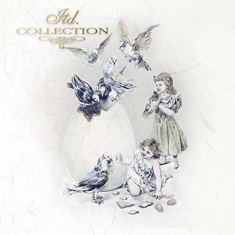 Illustration of children and birds with 'itd Collection' text on a light background