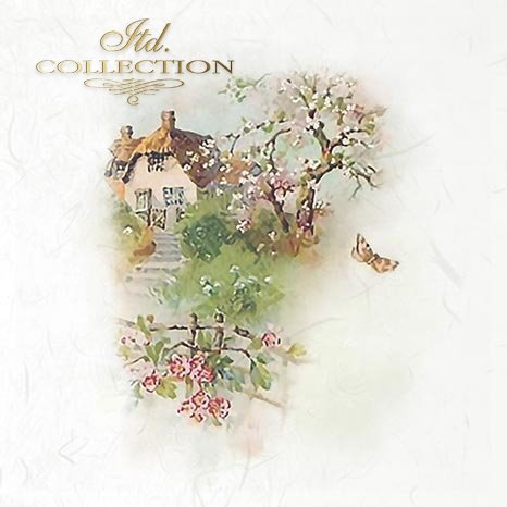 Vintage-style illustration of a quaint house with cherry blossom trees