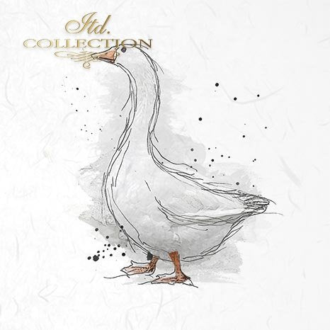 Decoupage Mini Rice Paper Set - Ducks