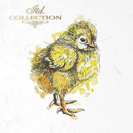 Decoupage Mini Rice Paper Set - Ducks