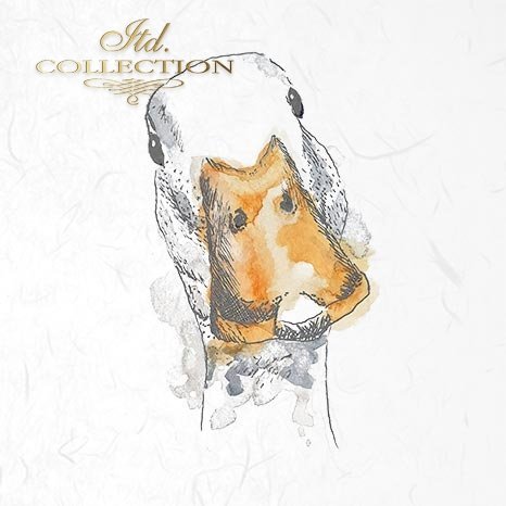 Decoupage Mini Rice Paper Set - Ducks