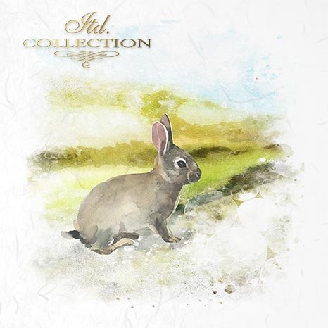 Decoupage Mini Rice Paper Set - Easter Animals