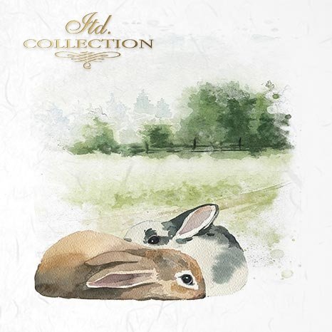 Decoupage Mini Rice Paper Set - Easter Animals