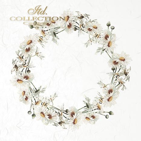 Floral wreath with white flowers and green leaves on a white background, labeled 'Itd. Collection'.