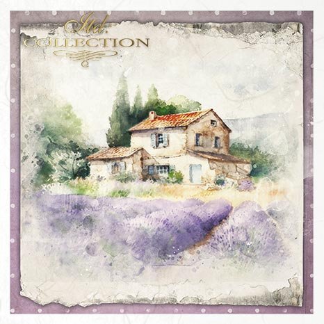 House with lavender fields