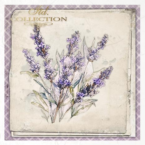 Lavender design on a textured background
