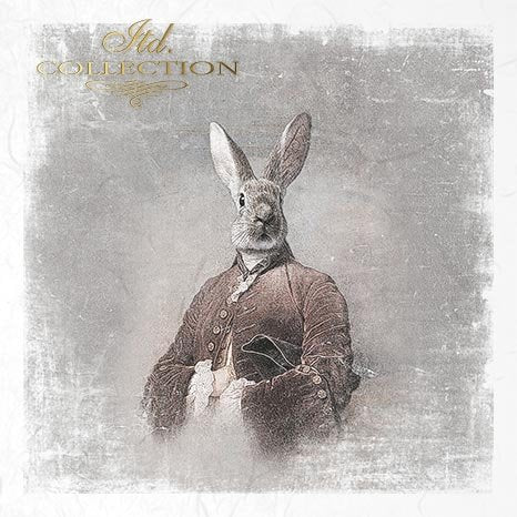 Decoupage Mini Rice Paper Set - Rabbit Portraits