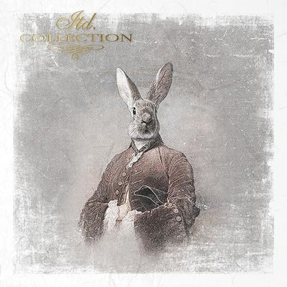 Decoupage Mini Rice Paper Set - Rabbit Portraits