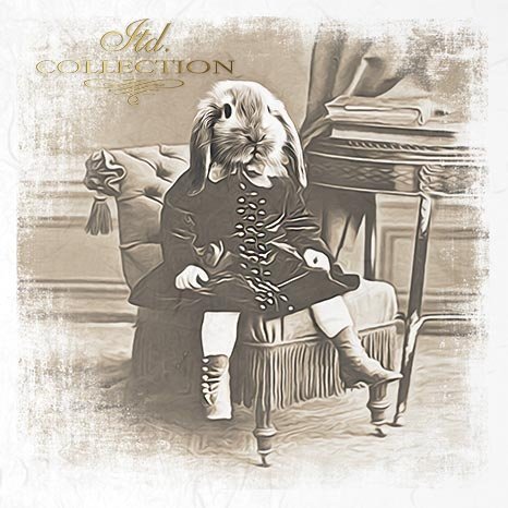 Decoupage Mini Rice Paper Set - Rabbits in Costume