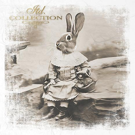 Decoupage Mini Rice Paper Set - Rabbits in Costume