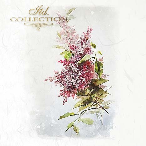 Floral design with pink and green leaves on a white background