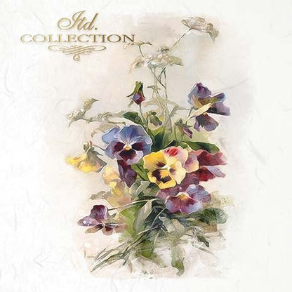 Colorful pansy flowers on a textured white background