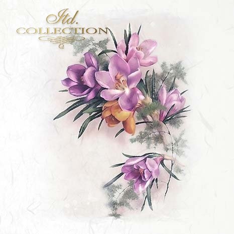 Floral design with purple and orange flowers on a light background