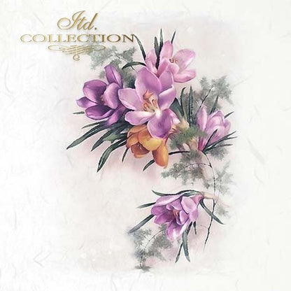 Floral design with purple and orange flowers on a light background