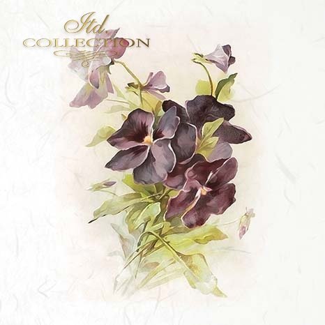 Decorative card with purple flowers and green leaves on a light background