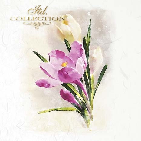 Floral design with purple and white flowers on a textured background