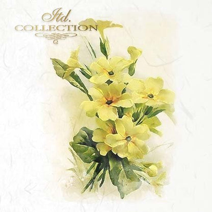 Yellow floral arrangement on a textured white background