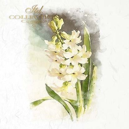 Artistic illustration of white flowers with green leaves on a light background
