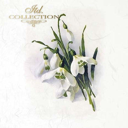 Bouquet of white flowers with green stems on a textured white background