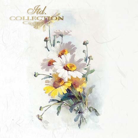 Artistic depiction of flowers on a light background