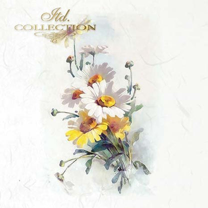 Artistic depiction of flowers on a light background