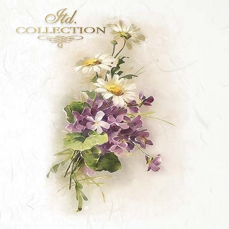 Floral arrangement with daisies and violets on a white background