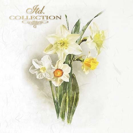 Bouquet of white and yellow flowers on a light background