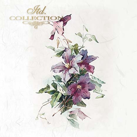 Floral design on a light background