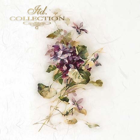 Decorative floral design on a white background