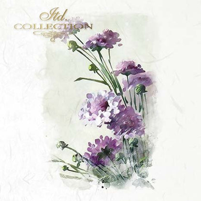 Artistic depiction of purple flowers on a light background