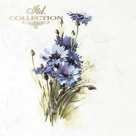 Artistic depiction of blue flowers on a light background