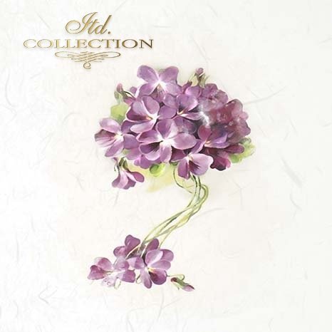 Bouquet of purple flowers on a white background