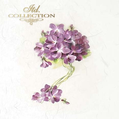 Bouquet of purple flowers on a white background