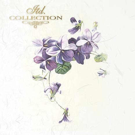 Decorative card with purple flowers on a light background