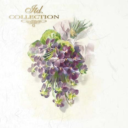 Bouquet of purple flowers with green leaves on a light background