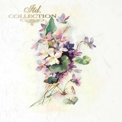 Floral design on a light background