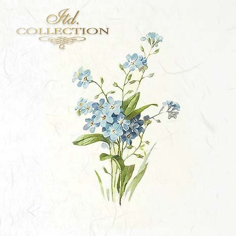 Illustration of blue flowers with green leaves on a white background