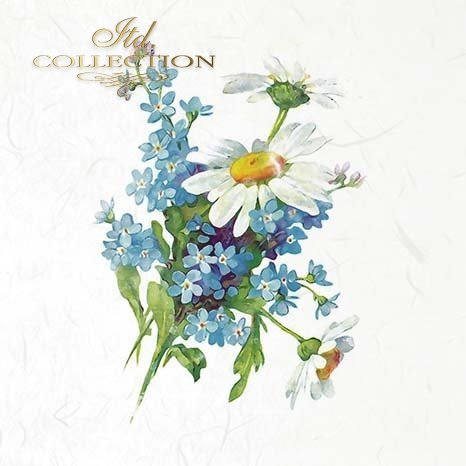 Floral arrangement with forget-me-nots and daisies on a white background