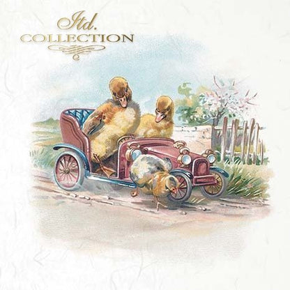 Illustration of birds in a vintage car 