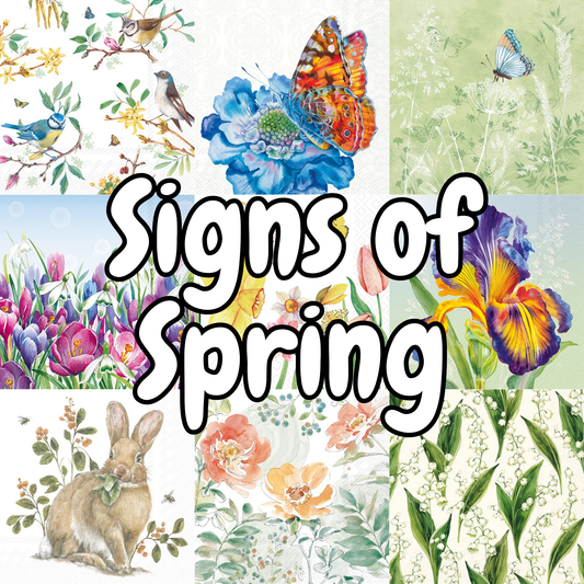 Decoupage Napkin Value Bundle - Signs of Spring