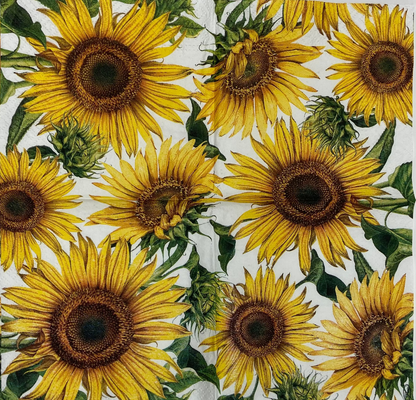 Decoupage Napkins 5" (2pcs)- The Last Sun