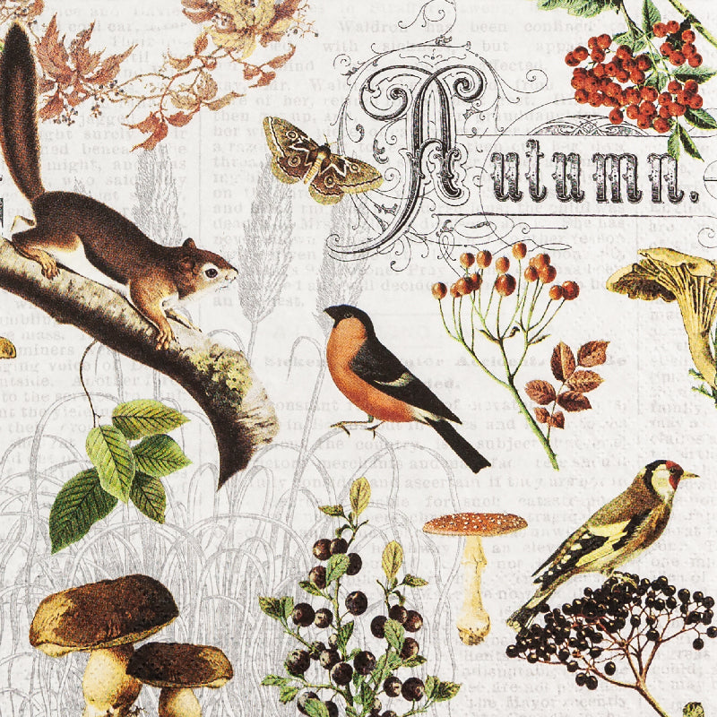 Decoupage Napkins 6.5"  (2pcs)- Autumn Collage