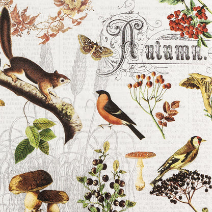 Decoupage Napkins 6.5"  (2pcs)- Autumn Collage