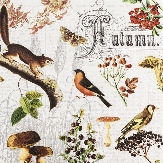 Decoupage Napkins 6.5"  (2pcs)- Autumn Collage