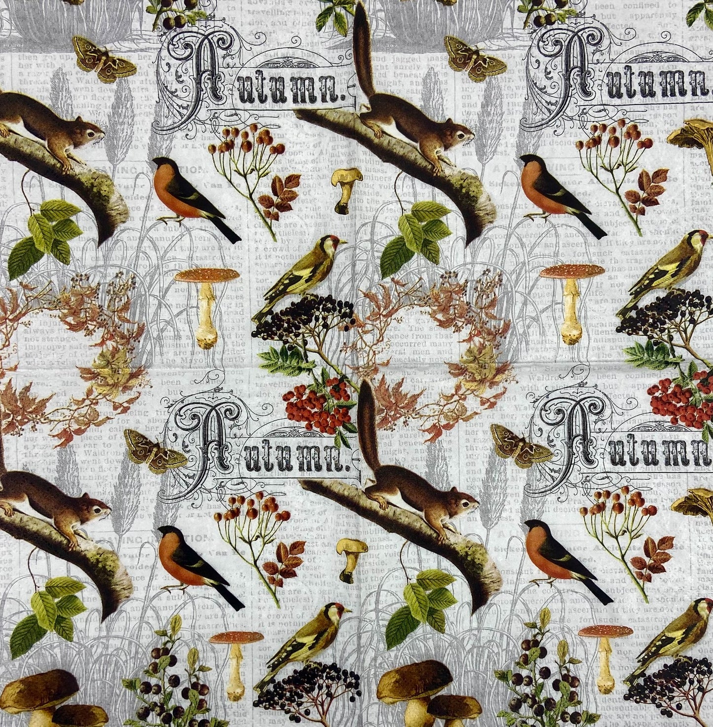 Decoupage Napkins 6.5"  (2pcs)- Autumn Collage