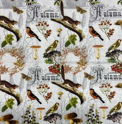Decoupage Napkins 6.5"  (2pcs)- Autumn Collage